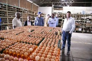 Read more about the article የአዲስ ዓመት በዓልን ምክንያት በማድረግ የምርት አቅርቦት እጥረት እንዳይከሰት ከወዲሁ ዝግጅት እየተደረገ መሆኑ ተገለጸ