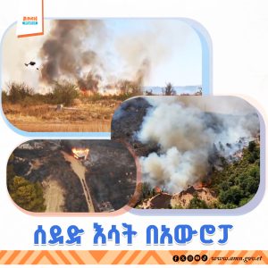 Read more about the article በመላው ደቡባዊ አውሮፓ ከፍተኛ የሙቀት መጠን መጨመርን ተከትሎ በተለያዩ አካባቢዎች ሰደድ እሳት መቀስቀሱ ተገለጸ