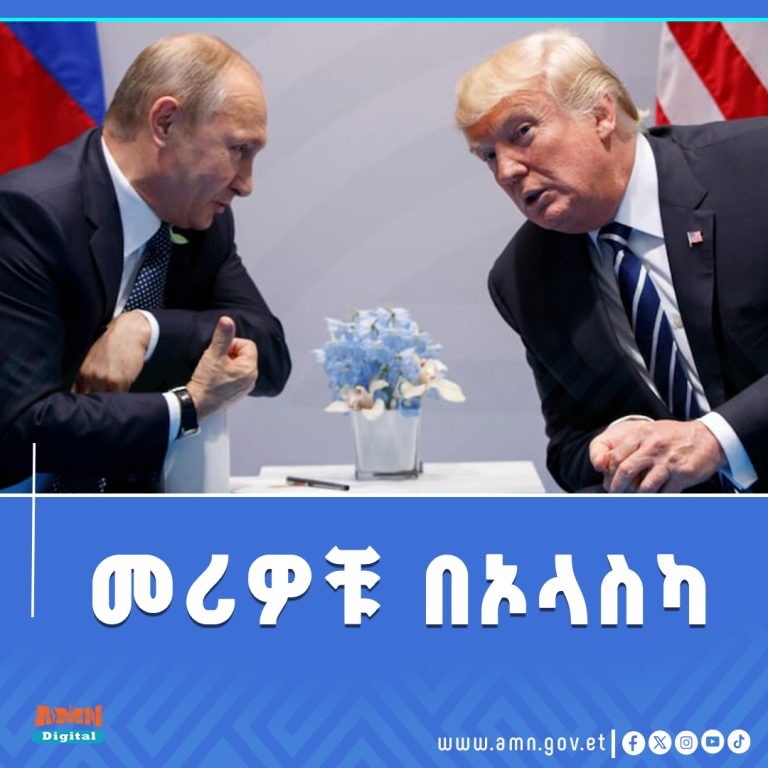 515042630_1206476698192368_4678941653737645803_n