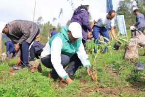 Read more about the article የስኬት ባንክ አመራሮች እና ሰራተኞች የአረንገጓዴ አሻራቸውን አኖሩ