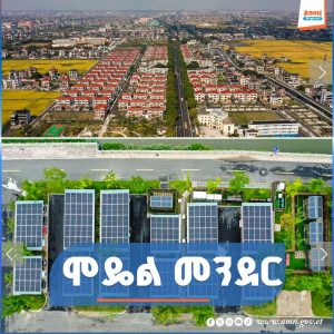 Read more about the article የካርበን ልቀት መቀነስ የቻለችው መንደር