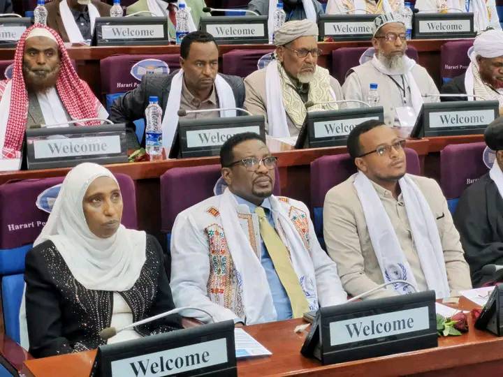 You are currently viewing ሀገር አቀፍ የሰላም ኮንፍረንስ በሐረር ከተማ መካሄድ ጀመረ