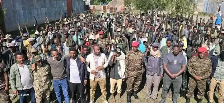 You are currently viewing በአማራ ክልል ሰሜን ሸዋ ዞን በሐምሌ ወር ብቻ ከ3ሺህ100 በላይ ታጣቂዎች የመንግስትን የሰላም ጥሪ ተቀብለዋል