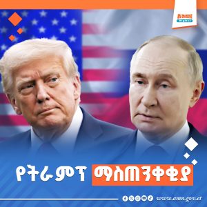 Read more about the article ፑቲን የሰላም ድርድሩን የሚያደናቅፉ ከሆነ ከባድ መዘዝ ያስከትላል ሲሉ ትራምፕ አስጠነቀቁ