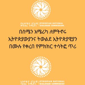 Read more about the article የሀገራዊ ምክር ኮሚሽን በሰሜን አሜሪካ ለሚኖሩ ኢትዮጵያውያንና ትውልደ ኢትዮጵያዊያን በምክክር እንዲሳተፉ ጥሪ አቀረበ