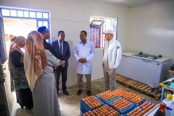 You are currently viewing ምክትል ጠቅላይ ሚኒስትር አቶ ተመስገን ጥሩነህ በሃረሪ ክልል በስራ ላይ የሚገኙ ማስ ኢንጅነሪንግ ኢንተርፕራይዝ እና አዱ የዱቄት ፋብሪካን ጎበኙ