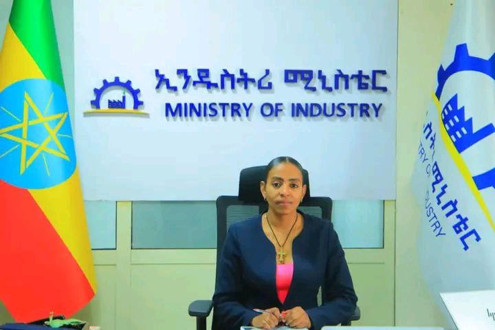 You are currently viewing ከ6 ሺህ በላይ አነስተኛና መካከለኛ ኢንዱስትሪዎችን ለማቋቋም እና ከ393 ሺህ ለሚበልጡ ዜጎች የስራ ዕድል ለመፍጠር ታቅዷል