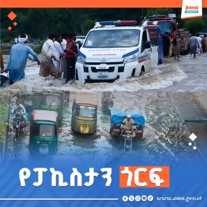 Read more about the article በፓኪስታን የጎርፍ አደጋ የሟቾች ቁጥር 699 ደረሰ