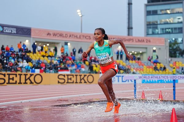 You are currently viewing በሎዛን ዳይመንድ ሊግ ኢትዮጵያውያን አትሌቶች ይጠበቀሉ
