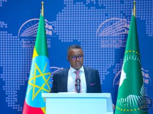 Read more about the article ኢትዮጵያ በአፍሪካ አየር ንብረትና በአፍሪካ-ካሪቢያን ጉባኤዎች አህጉራዊ ጥቅሞችን ለማስጠበቅ መሪ ሚናዋን እንደምትወጣ ተገለፀ