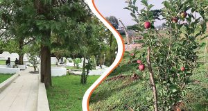 Read more about the article ተሻጋሪው ኃላፊነት