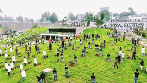Read more about the article የአንድ ጀንበሩን እጆች የሚፈልገውምዕራፍ