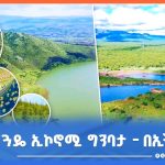 Read more about the article ኢትዮጵያ የአየር ንብረት ለውጥ ተፅዕኖን ለመከላከል እያበረከተች ያለው ሚና እና ሁለተኛው የአፍሪካ የአየር ንብረት ጉባኤ አንድምታ
