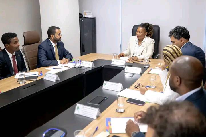 You are currently viewing የኢትዮጵያ የባህል ቡድን በብራዚል የተለያዩ ከተሞች የባህል ትዕይንት ሊያቀርብ ነው