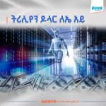 Read more about the article በሚቀጥሉት 4 አመታት በአለም አቀፍ ደረጃ 3 ትሪሊየን ዶላር ለሰው ሰራሽ አስተውሎት ግንባታ ወጪ እንደሚደረግ ተገለጸ
