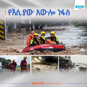 Read more about the article በታይዋን በተከሰተ ከባድ አውሎ ነፋስ የ14 ሰዎች ህይወት ማለፉ ተነገረ