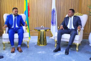 Read more about the article አዲስ ሚዲያ ኔትዎርክ