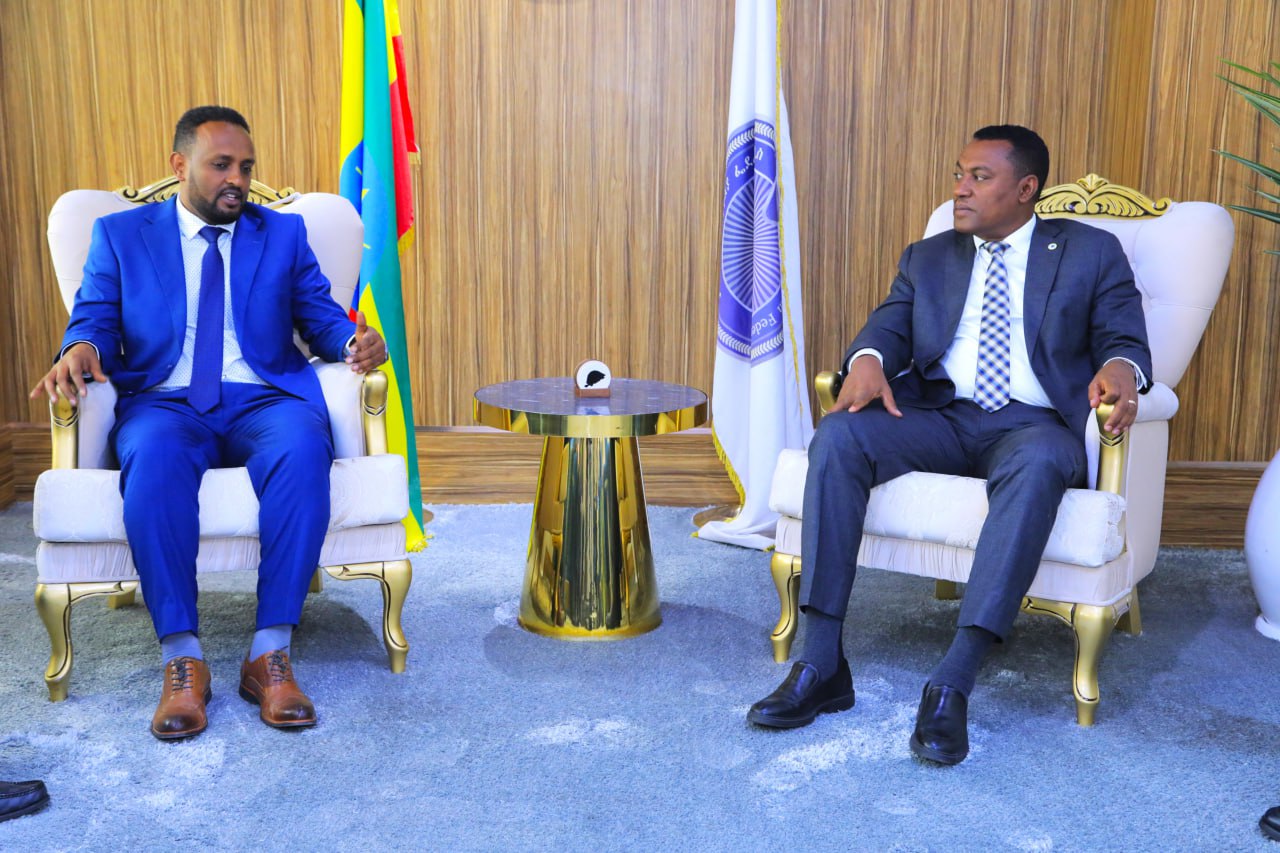 You are currently viewing አዲስ ሚዲያ ኔትዎርክ