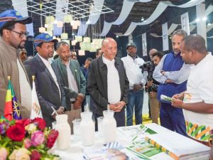 Read more about the article ኢትዮጵያን በጠንካራ መሰረት ላይ ለማፅናት በጀመርነው ተግባራዊ ሥራ ሀገራዊ ተቋማት ከፍተኛ ሚና አላቸው