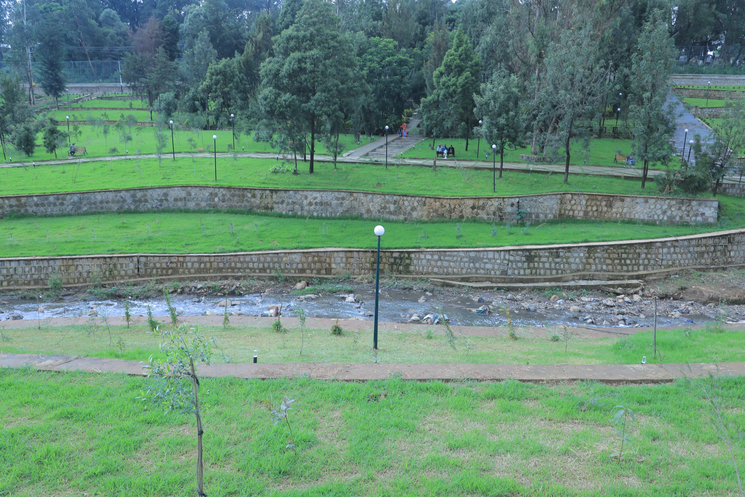 You are currently viewing ሕይወት የዘራበት ግንፍሌ