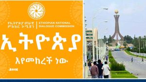 Read more about the article ኮሚሽኑ በትግራይ ክልል ከሚገኙ የሚድያ ባለሙያዎች ጋር እየተወያየ ነው
