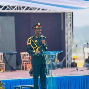 Read more about the article ኢትዮጵያ ሰላም፣ ልማት እና የባሕር በር ያስፈልጋታል ሲሉ ፊልድ ማርሻል ብርሃኑ ጁላ ተናገሩ