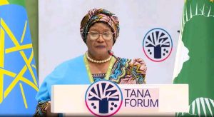 Read more about the article የአፍሪካ አገራት የጣና ፎረም ምክረ ሀሳቦችን በመተግበር ለአህጉሪቷ ለውጥ በቁርጠኝነት ሊሰሩ ይገባል