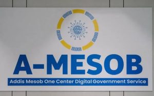 Read more about the article አዲስ መሶብ በተገልጋዮች አንደበት