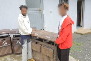 Read more about the article የትራፊክ ምልክት ነቅለው የወሰዱ ተከሳሾች በቁጥጥር ስር ውለው በ6 ዓመት ፅኑ እስራት መቀጣታቸውን የአዲስ አበባ ፖሊስ ጠቅላይ መምሪያ ገለፀ