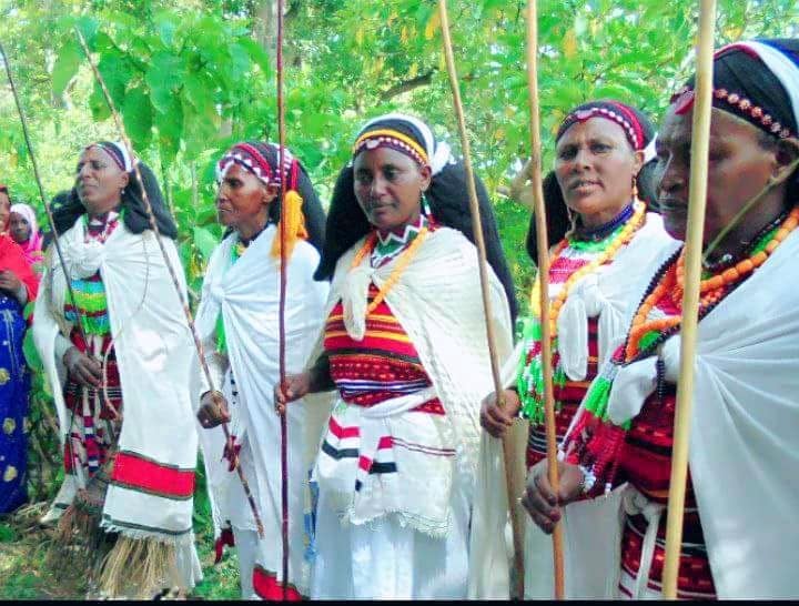 You are currently viewing ሃደ ሲንቄ – የኦሮሞ ህዝብ ለሴቶች ያለውን ክብር የሚገልፅበት ትልቁ ባህላዊ እሴት ነዉ
