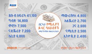Read more about the article በርካታ የሚሊየን ዶላር ባለሀብቶች የሚገኙባቸው የአፍሪካ ሀገራት