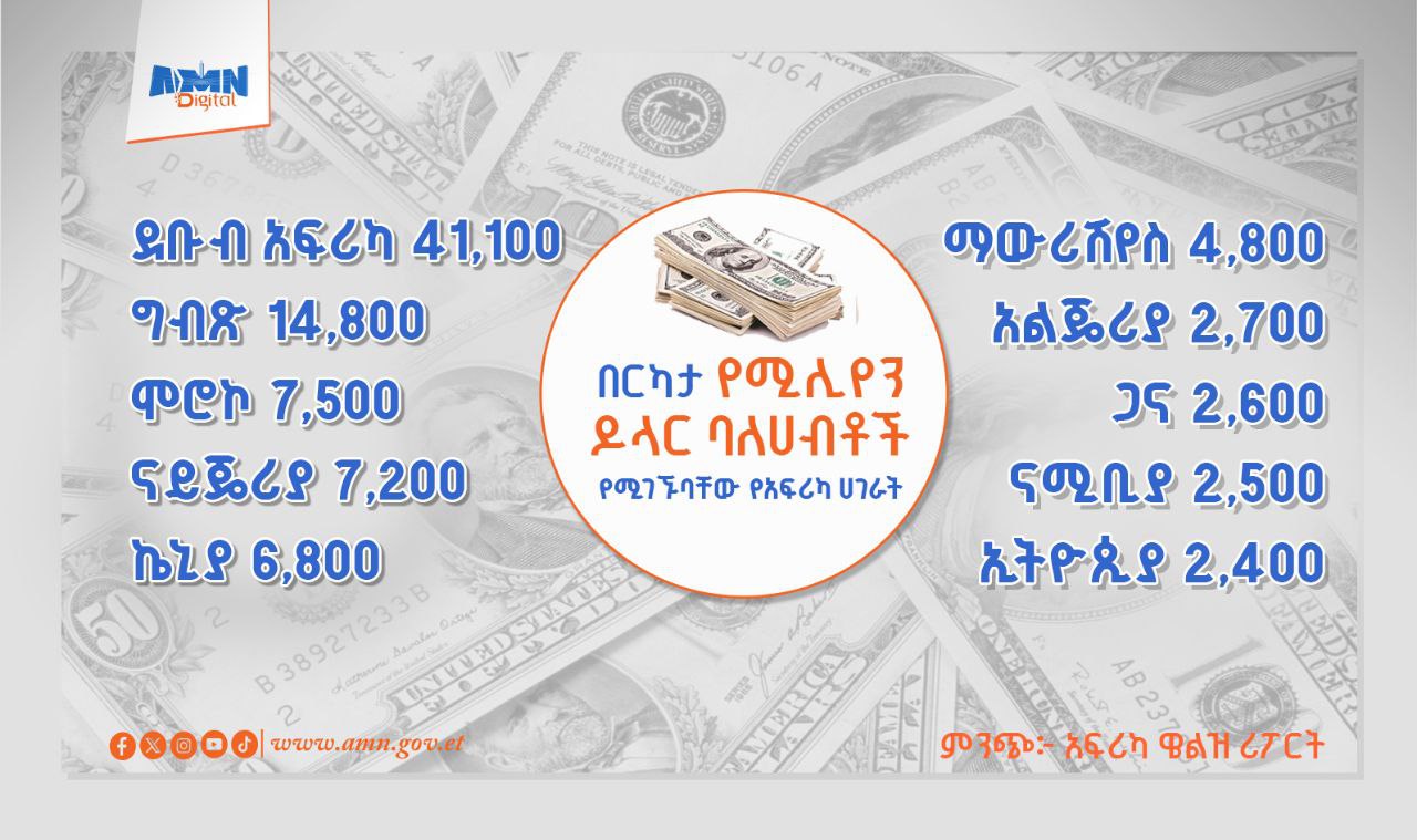 You are currently viewing በርካታ የሚሊየን ዶላር ባለሀብቶች የሚገኙባቸው የአፍሪካ ሀገራት