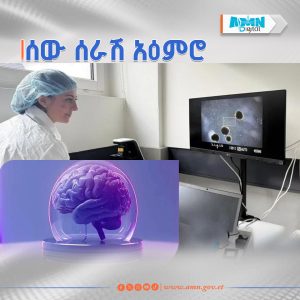 Read more about the article ተመራማሪዎች ኮምፒውተር ማንቀሳቀስ የሚችል የሰው ልጅ አዕምሮ ፈጠሩ