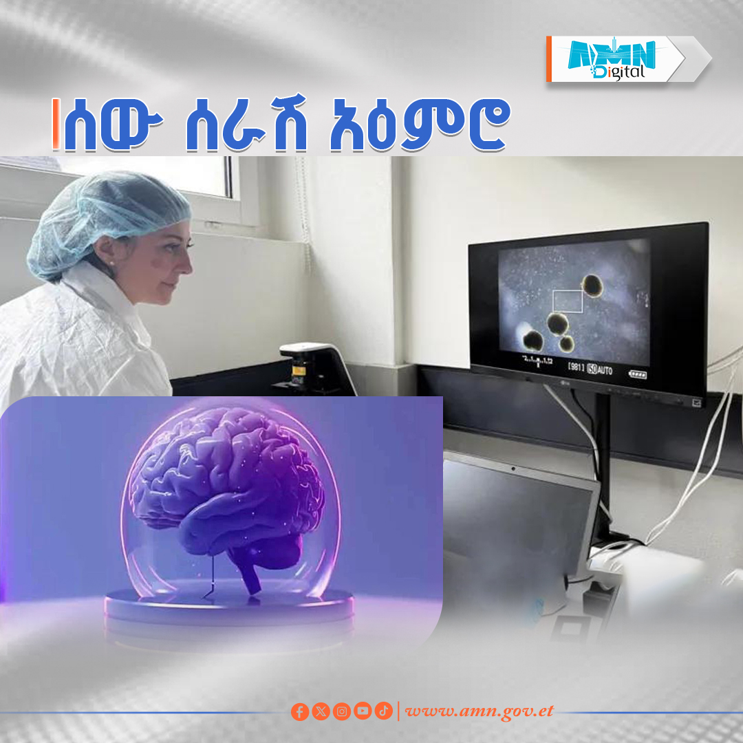 You are currently viewing ተመራማሪዎች ኮምፒውተር ማንቀሳቀስ የሚችል የሰው ልጅ አዕምሮ ፈጠሩ