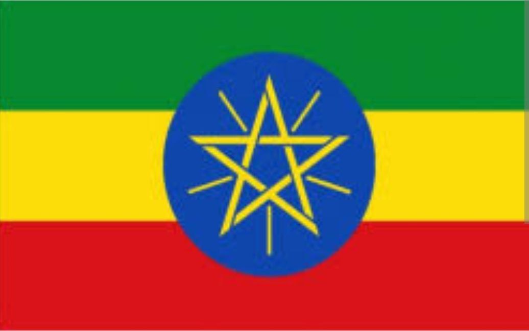 You are currently viewing ሰንደቅ አላማ እና ኪነ-ጥበብ