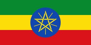 Read more about the article የኢትዮጵያን ሰንደቅ አላማ በዓለም አደባባይ ከፍ ያደረጉ