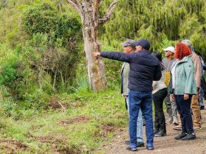 Read more about the article ጠቅላይ ሚኒስትር ዐቢይ አሕመድ (ዶ/ር) በአስደናቂ ብዝኅ መልኩ የባሌ ተራሮች ብሔራዊ ፓርክ የቱሪዝማችን አንዱ የማዕዘን ድንጋይ ሆኖ ቀጥሏል ሲሉ ገለጹ
