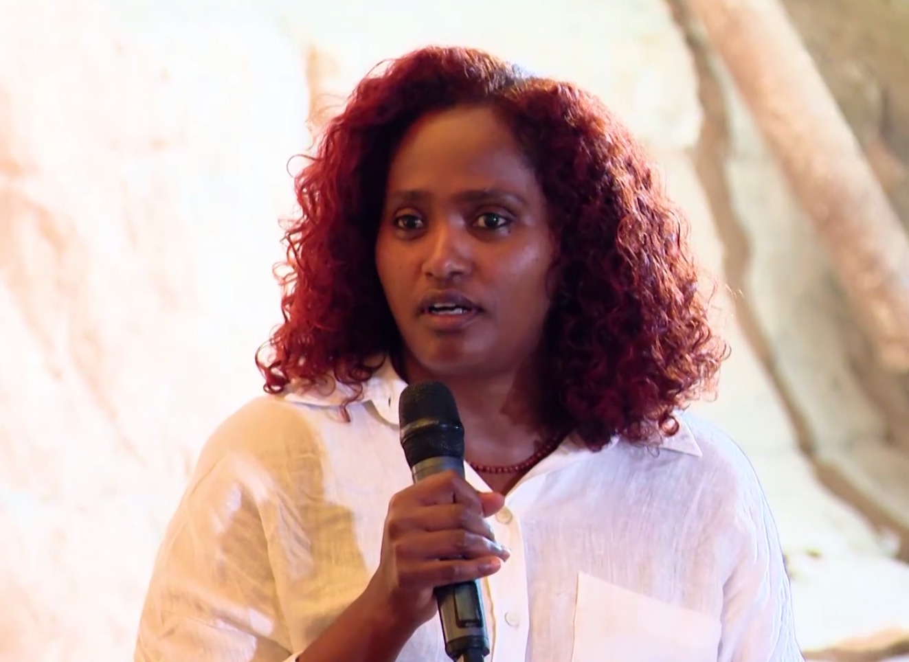 You are currently viewing ባሌ ብዙ ሃገሮች በአንድ ላይ ያላቸውን መስህብ ብቻዋን ጠቅልላ የያዘች የኢትዮጵያ ምድር ነች ሲሉ አምባሳደር ናሲሴ ጫሊ ገለጹ