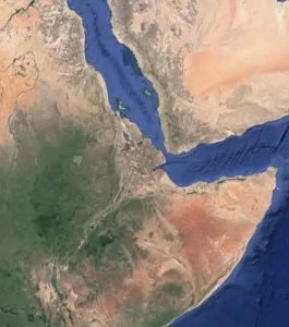 Read more about the article ኢትዮጵያ የባሕር በር እንዳይኖራት የሚያደርጉ ጥረቶች በየትኛውም መመዘኛ ቅቡል አይደሉም ሲሉ ምሁራን ገለጹ