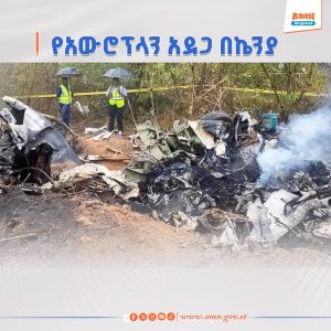 Read more about the article በኬንያ በደረሰ የአውሮፕላን አደጋ የ11 ሰዎች ህይወት አለፈ