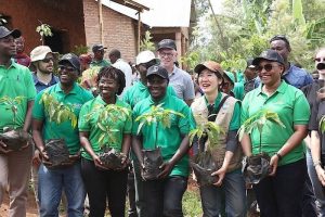 Read more about the article በኢትዮጵያ የተጀመረው የአረንጓዴ አሻራ መርሃ ግብር በሩዋንዳ