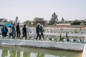 Read more about the article የገጠሩን ማህበረሰብ ኑሮ የመቀየር ስራ የኢትዮጵያን ሁለንተናዊ ብልጽግና ባጠረ ጊዜ ማሳካት የሚያስችል እንደሆነ አፈ ጉባኤ ታገሰ ጫፎ ገለጹ