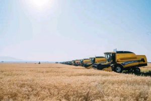 Read more about the article በተያዘው ዓመት ከ8.5 እስከ 9 ሚሊየን ሄክታር በሚጠጋ ማሳ ላይ ስንዴ እንደሚመረት ጠቅላይ ሚኒስትር ዐቢይ አሕመድ (ዶ/ር) ገለጹ