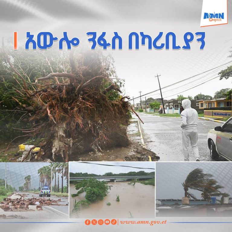 573372186_1281470087359695_3139492940354995543_n