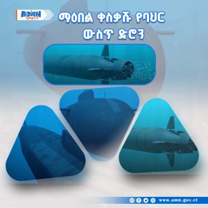 Read more about the article ሩስያ ሱናሚ መቀስቀስ የሚችል አቅም ያለው በባህር ውስጥ የሚጓዝ ድሮን መፍጠሯን አስታወቀች