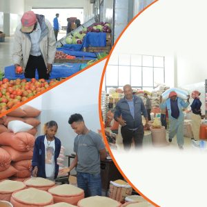 Read more about the article የማዕከላቱ ዘወትራዊ አገልግሎት