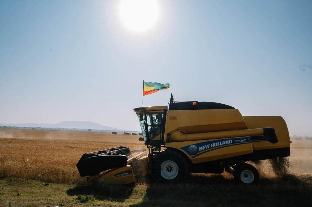 You are currently viewing ጠቅላይ ሚኒስትር ዐቢይ አሕመድ (ዶ/ር) በምስራቅ ሸዋ ዞን በክረምት የስንዴ ምርት አሰባሰብን በመመልከትና በመገምገም የበጋ ስንዴ ሥራን ማስጀመራቸዉን ገለጹ