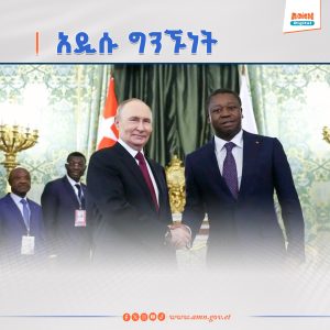Read more about the article ሩሲያ እና ቶጎ የሁለትዮሽ ግንኙነታቸውን ለማጠናከር ተስማሙ