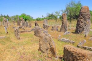 Read more about the article መንግሥት በየአካባቢው ያሉ ፀጋዎች እንዲታወቁ ፣እንዲለዩ እና እንዲገለጡ የሰጠው ትኩረት የብልፅግና አቅሞች እንዲደመሩ አስችሏል