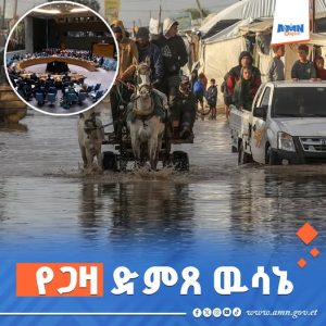 Read more about the article የተባበሩት መንግስታት የፀጥታው ምክር ቤት በጋዛ ዓለም አቀፍ የፀጥታ ኃይል እንዲሰማራ ድምፅ ሊሰጥ ነው